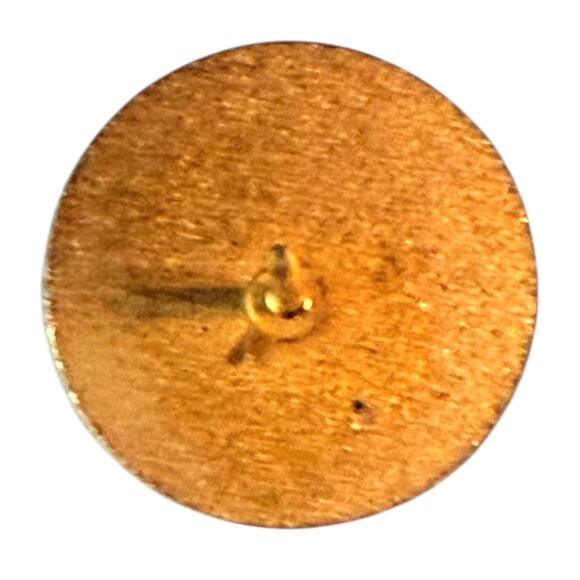 VTG Masonic Pin Grand Lodge Texas A.F. & A.M. Masons 50 yrs 10k Plate - Picture 5 of 6